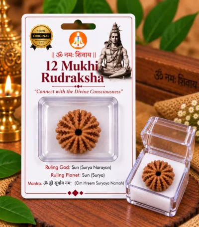 12-mukhi