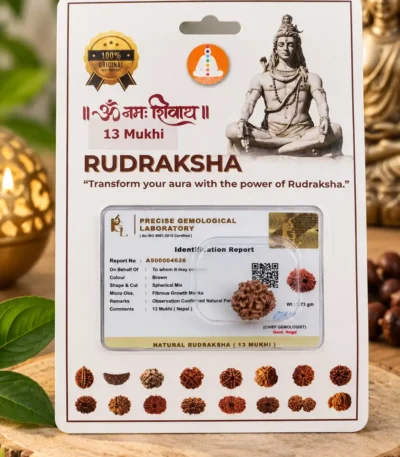 13 mukhi 1