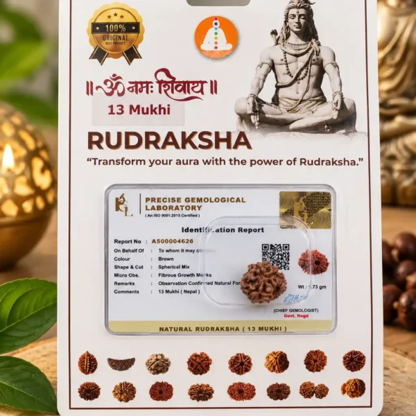 13 mukhi 1