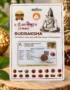 13 mukhi 1