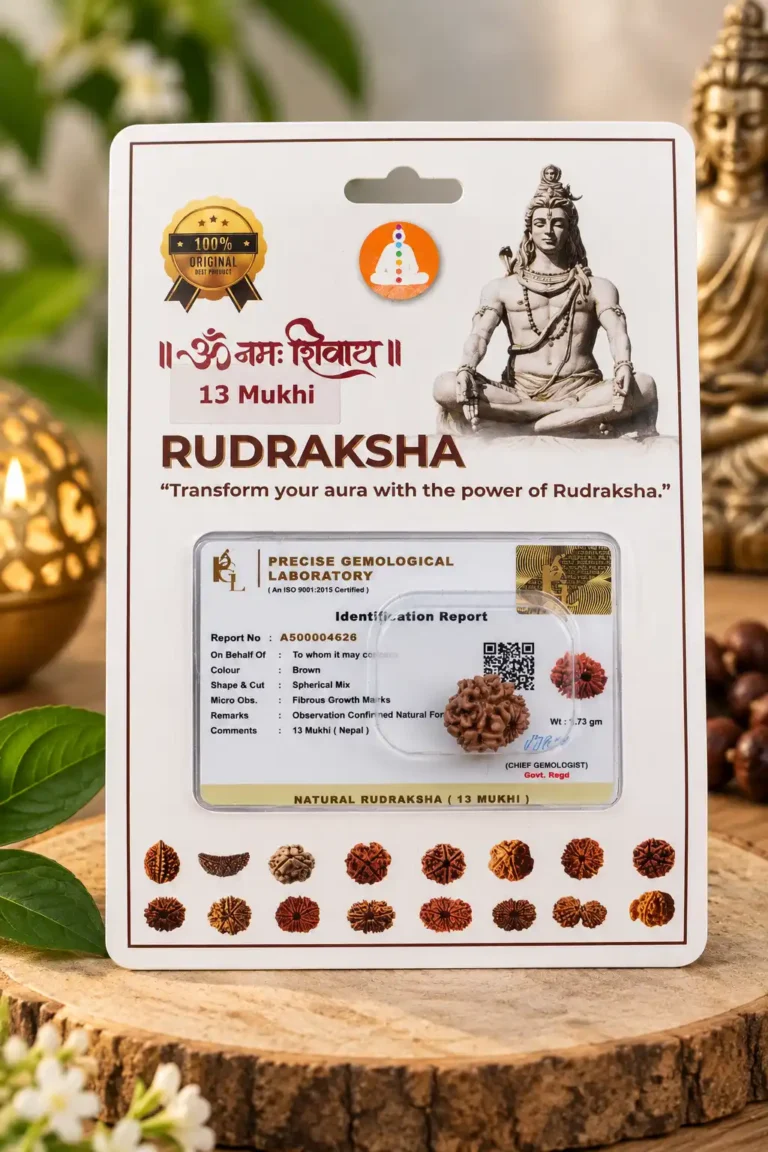 13 mukhi 1