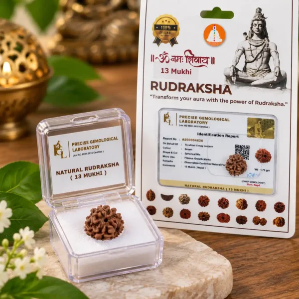 13 mukhi 1