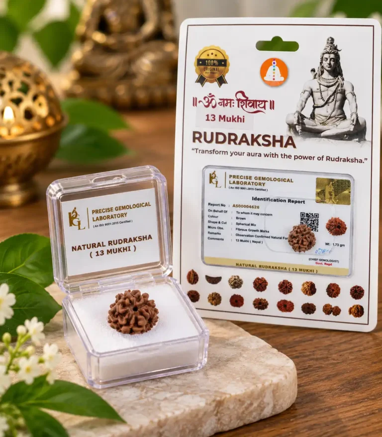 13 mukhi 1