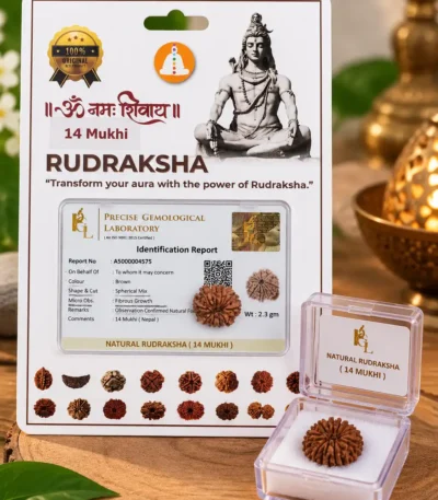 14mukhi