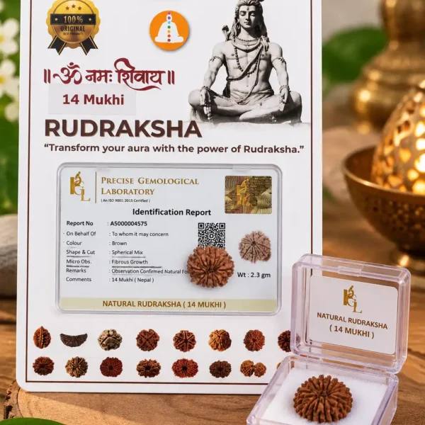 14mukhi