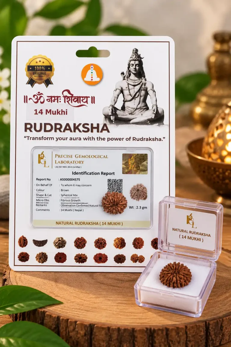14mukhi