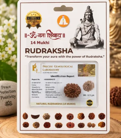 14mukhi