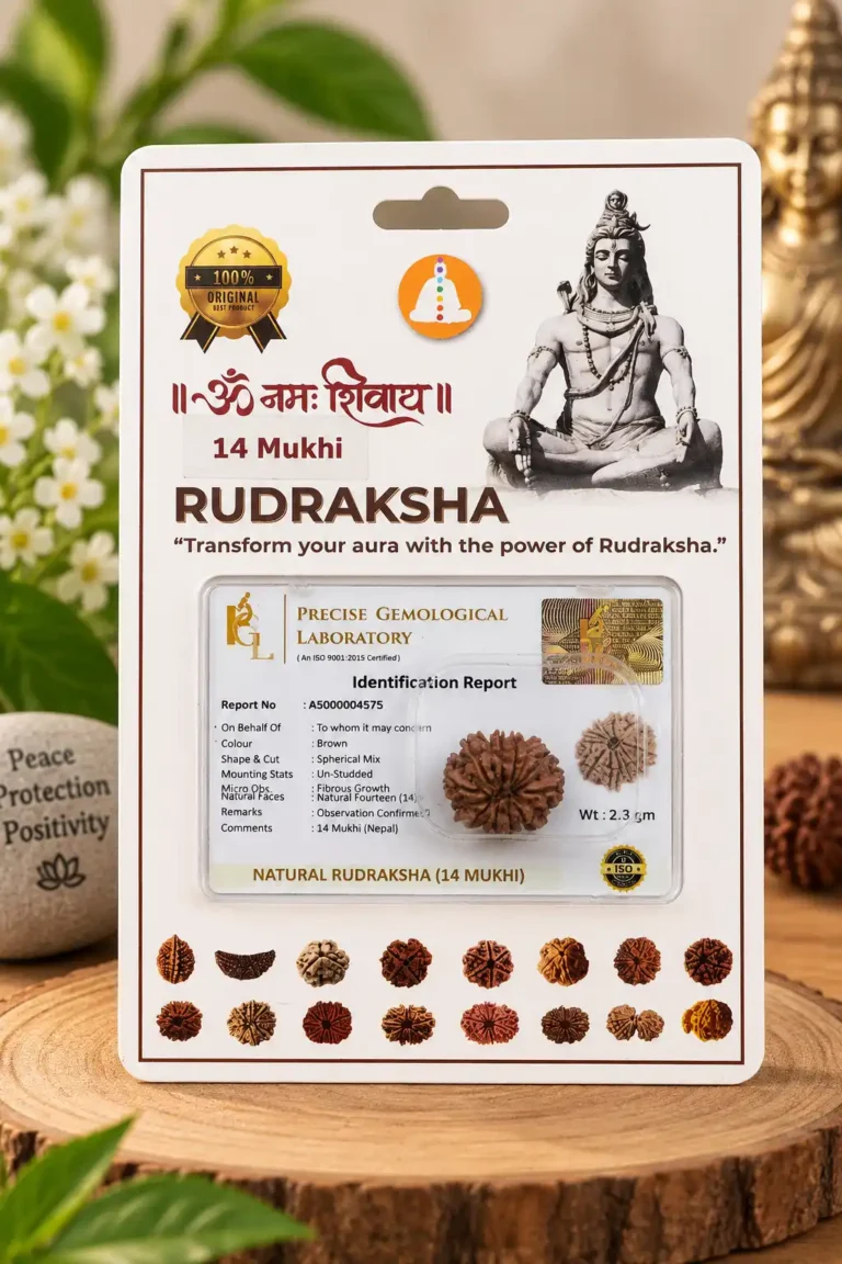 14mukhi
