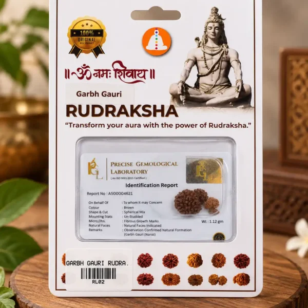 Garbha Gauri Rudraksha